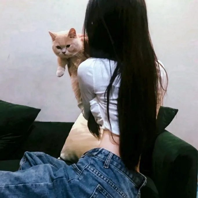 报告王爷，王妃是只猫2